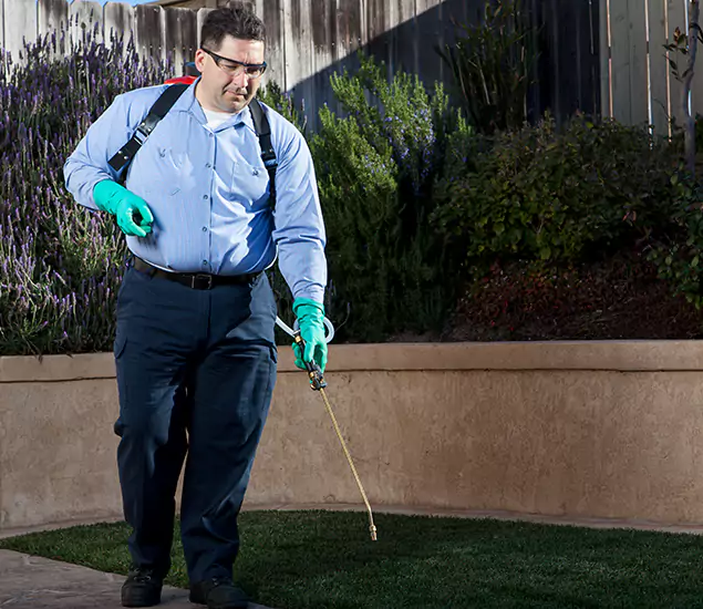 Reliable Termite Barrier Treatment Experts in Eugene, OR