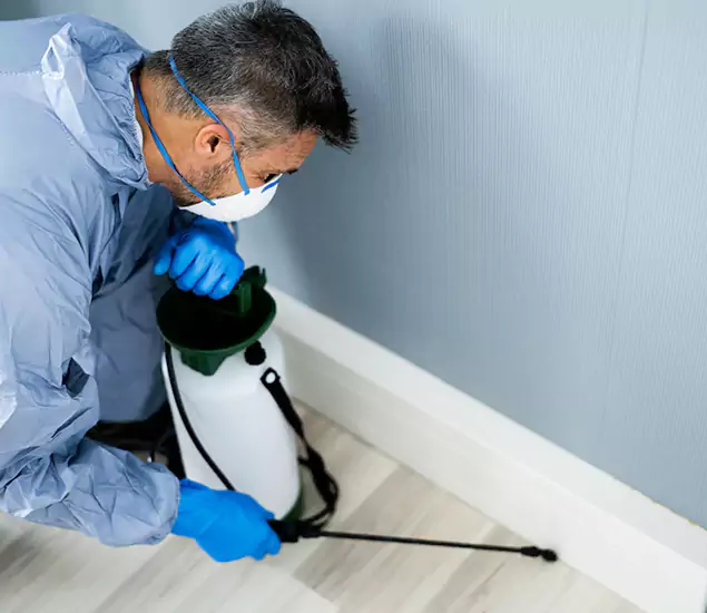 Reliable Termite Cost Experts in Eugene, OR