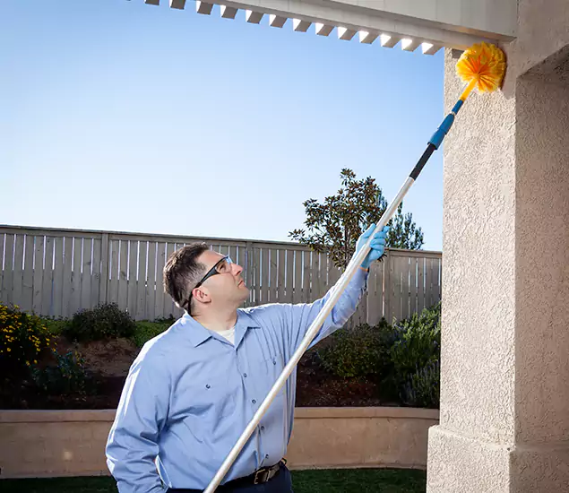 Your Trusted Wasp Removal Company in Eugene, OR