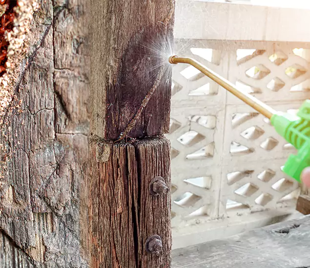 About Wood Termite Treatment Services in Eugene, OR
