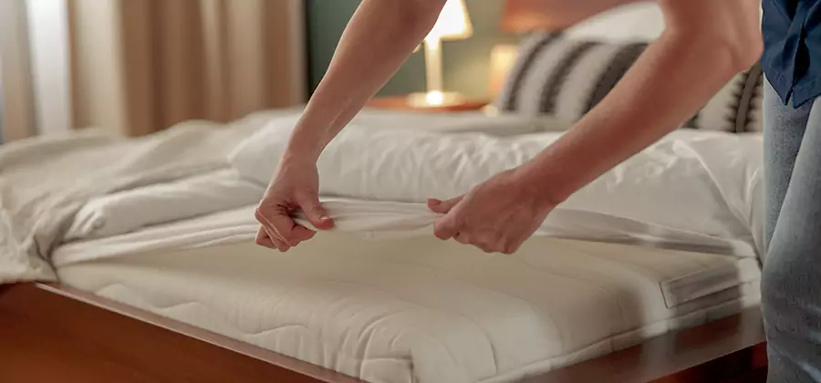 Bed Bug Extermination Services in Eugene