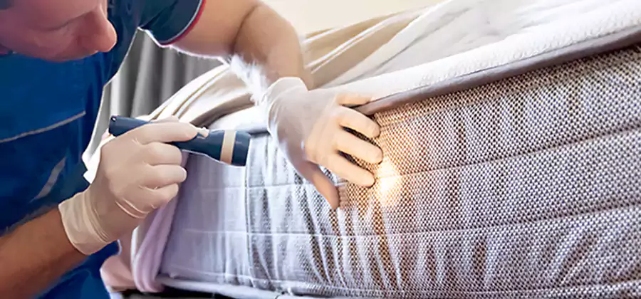 Residential Bed Bug Treatment Cost in Eugene