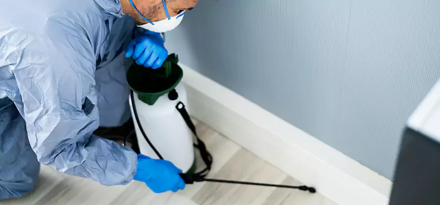 Fumigate Apartment Roaches in Eugene