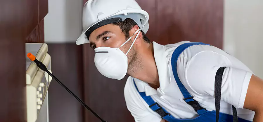 Injection Foam Treatment for Drywood Termites in Eugene