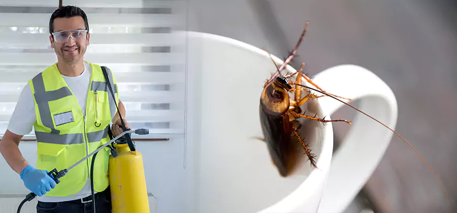 German Roach Infestation Treatment Eugene