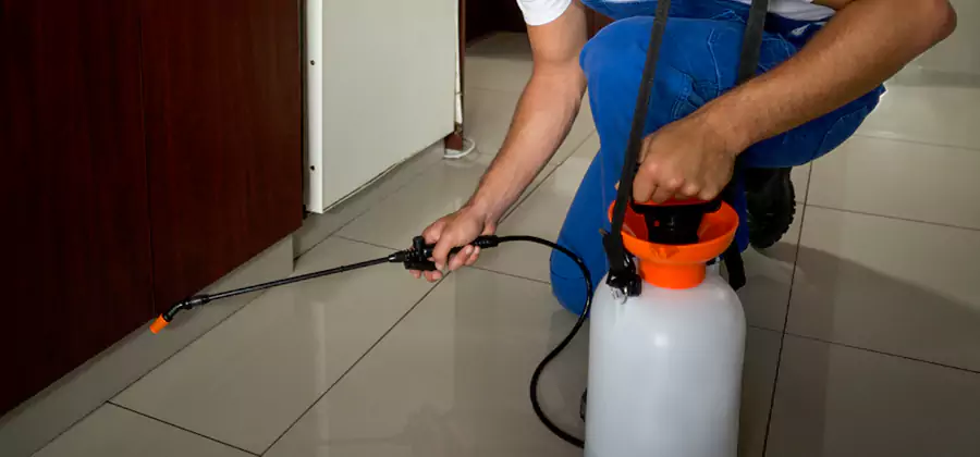 Indoor Mosquito Treatment in Eugene