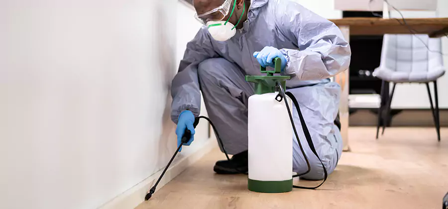Long Lasting Mosquito Treatment in Eugene