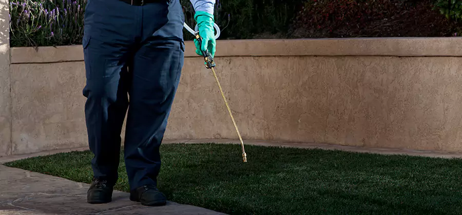Soil Treatment for New Construction Termites in Eugene