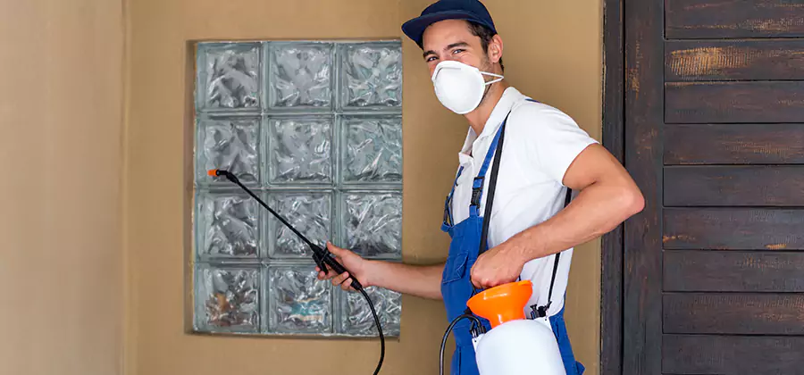 Physical Termite Barrier Installation in Eugene