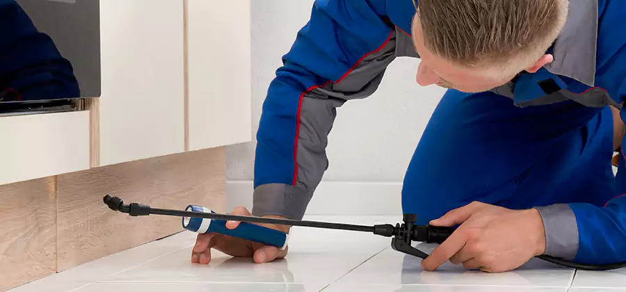 Moisture Treatment For Termite Control Service in Eugene