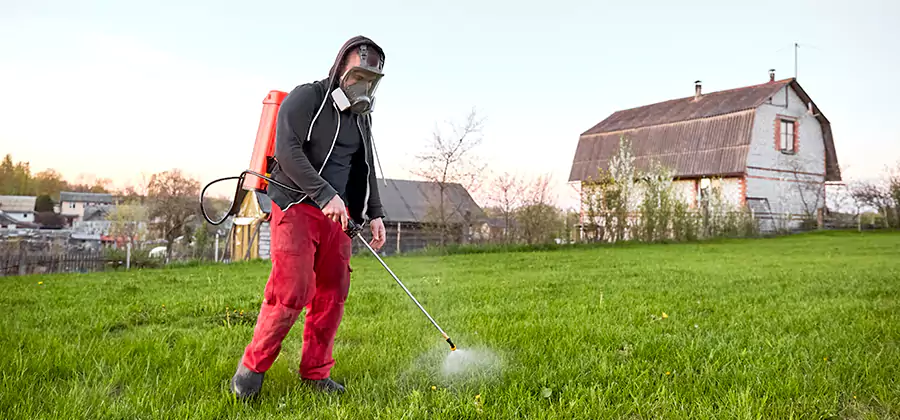 Flea and Tick Pest Control in Eugene