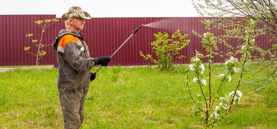 Flea and Tick Spray for Yard in Eugene