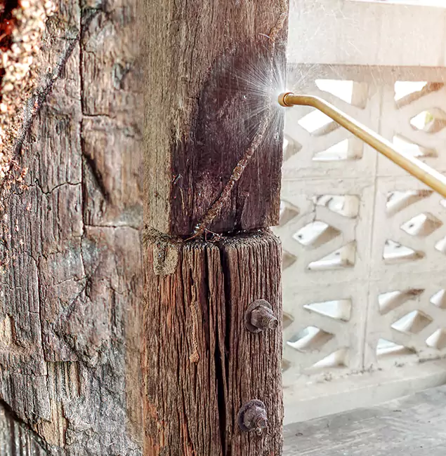 Why Choose Eugene Pest Control Pros for Attic Termite Treatment in Eugene, OR?