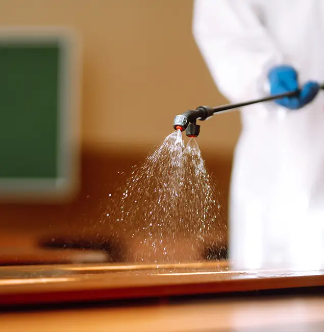 Why Choose Eugene Pest Control Pros for Bed Bug Chemical Treatment in Eugene, OR?