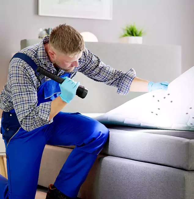 Why Choose Eugene Pest Control Pros For Bed Bug Heat Treatment in Eugene, OR?