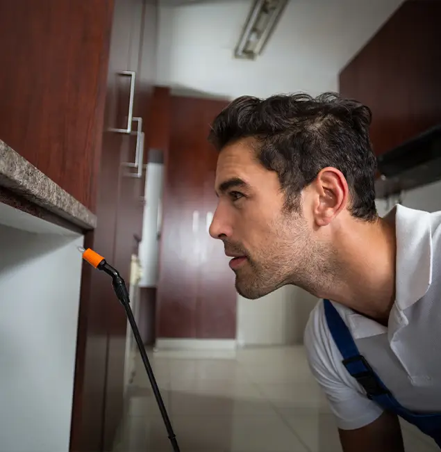 Why Choose Eugene Pest Control Pros for Bed Bug Removal Cost in Eugene, OR?