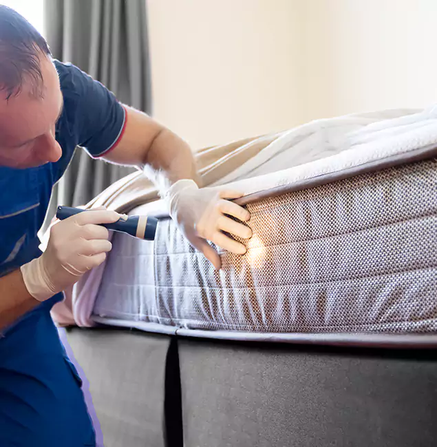 Why Choose Eugene Pest Control Pros for Bed Bug Services in Eugene, OR?