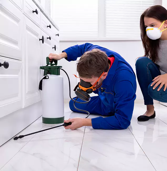Why Choose Eugene Pest Control Pros in Eugene, OR?