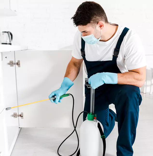 Why Choose Eugene Pest Control Pros for Emergency Pest Control in Eugene?