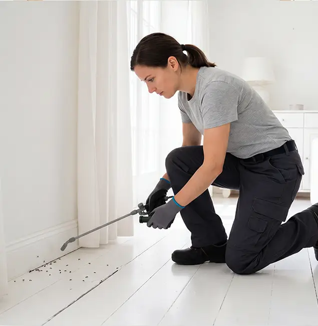 Why Eugene, OR Property Owners Trust Eugene Pest Control Pros for Fire Ant Control?