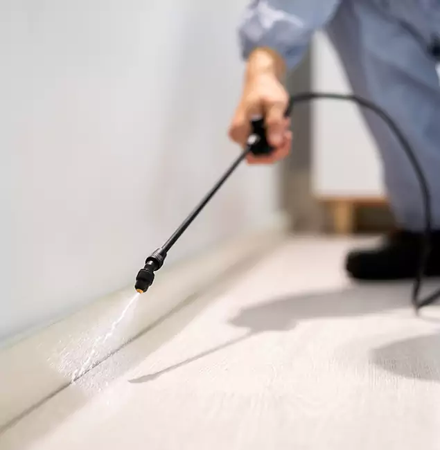 Why Choose Eugene Pest Control Pros for Termite Treatment in Eugene, OR?