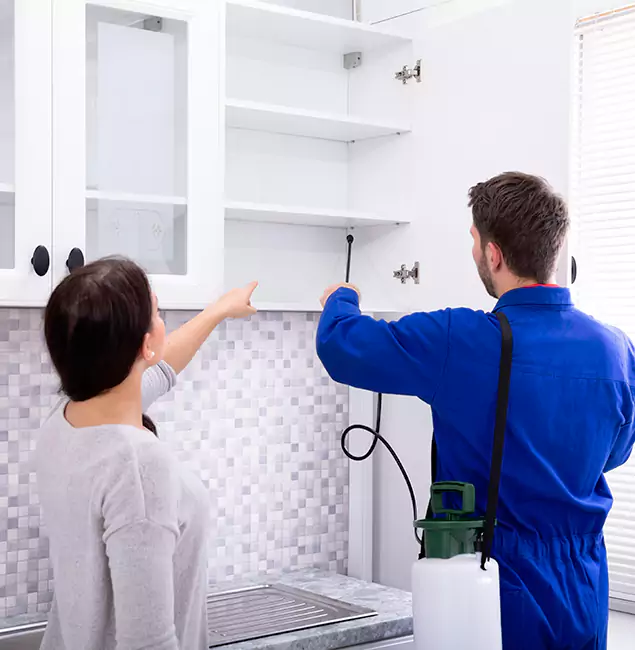 Why Eugene Property Owners Choose Eugene Pest Control Pros for Ground Bee Removal?