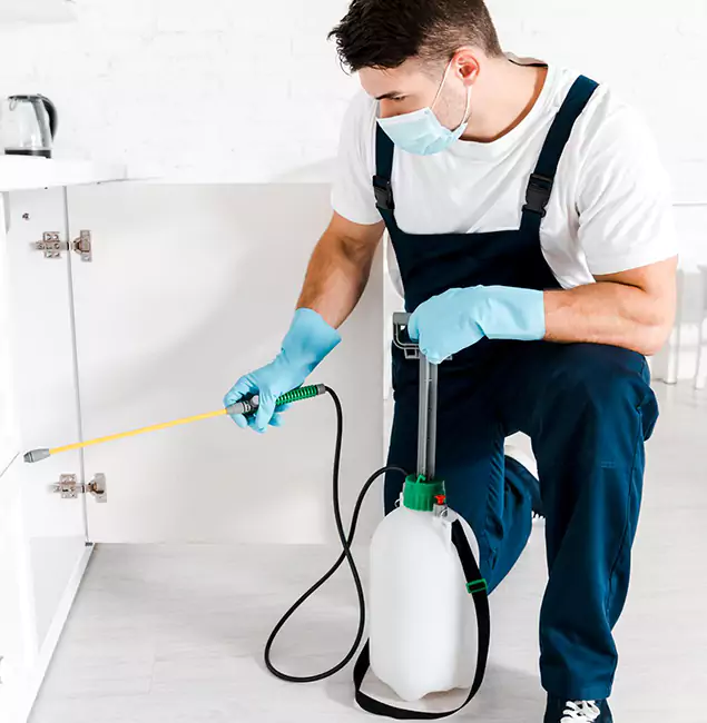 Why Choose Eugene Pest Control Pros for Indoor Pest Control in Eugene, OR?