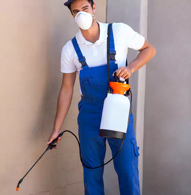 What Makes Eugene Pest Control Pros the Right Choice in Eugene, OR?