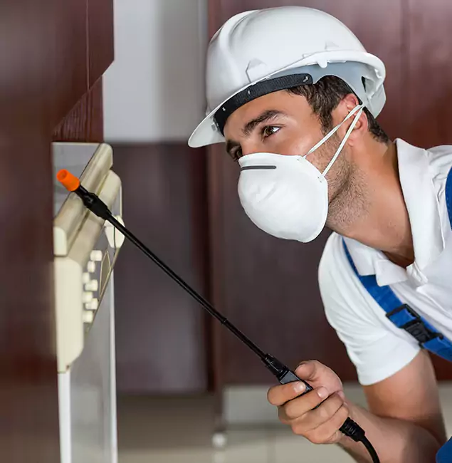 Why Eugene Homeowners Rely on Eugene Pest Control Pros for Tick Treatment?