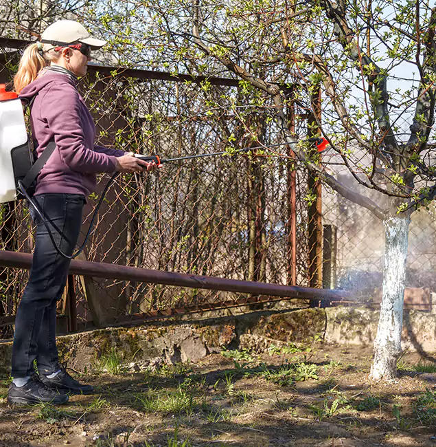Why Eugene Homeowners Choose Eugene Pest Control Pros for Mosquito Abatement?