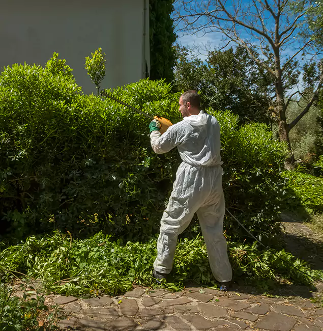 Why Eugene Pest Control Pros Leads Mosquito Control in Eugene, OR?