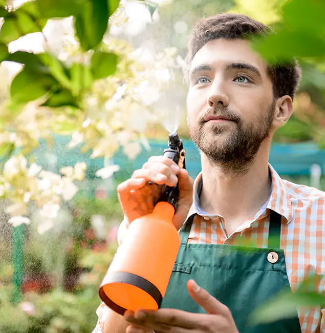 Why Eugene Pest Control Pros Is the Best Mosquito Control Company in Eugene, OR?