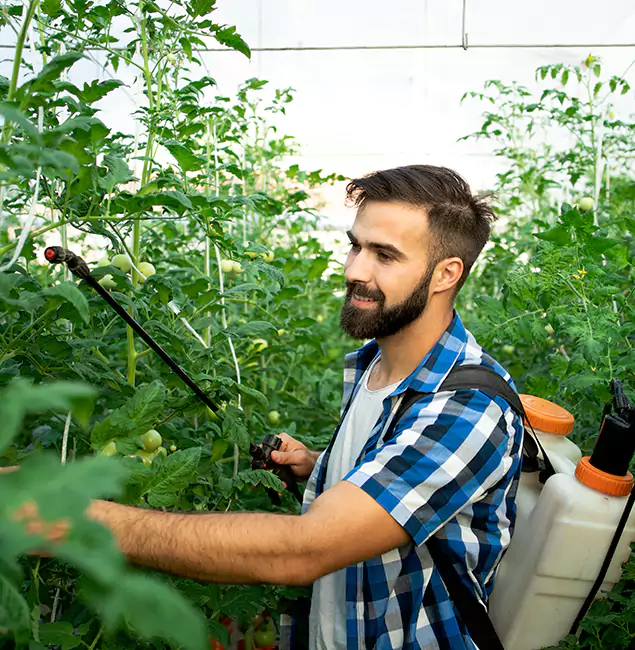 Why Eugene Homeowners Choose Eugene Pest Control Pros for Mosquito Spraying?