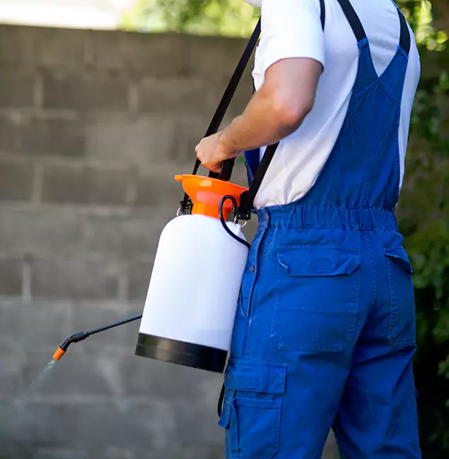Why Eugene Pest Control Pros Delivers the Best Mosquito Control in Eugene, OR?