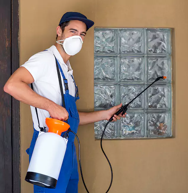 Why Eugene Pest Control Pros Provides the Best Mosquito Control for Yard Properties in Eugene, OR?