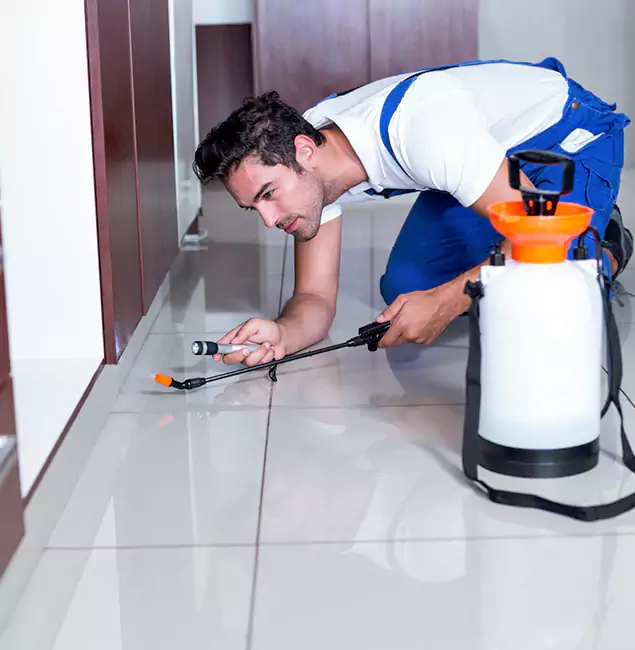 Why Eugene Pest Control Pros Is the Proven Choice in Eugene, OR?