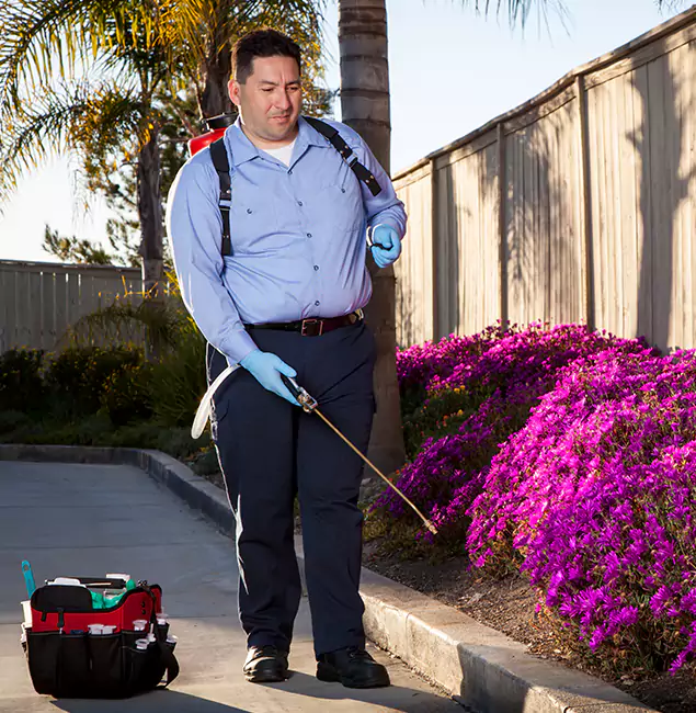 Why Choose Eugene Pest Control Pros in Eugene, OR?