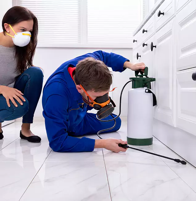 Why Choose Eugene Pest Control Pros in Eugene, OR?