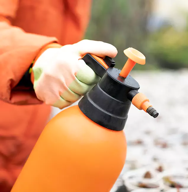 Why Choose Eugene Pest Control Pros for Orange Termite Treatment in Eugene, OR?