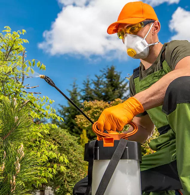 Why Choose Eugene Pest Control Pros for Outdoor Pest Control in Eugene, OR?