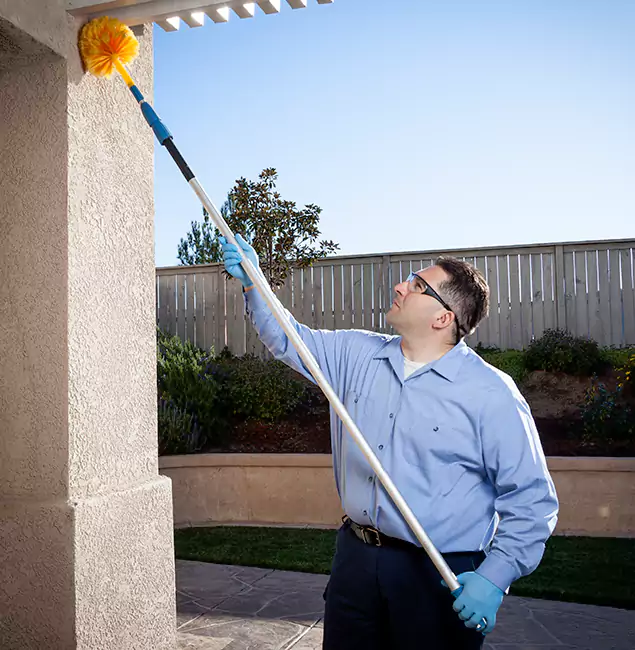 Why Choose Eugene Pest Control Pros for Pest Control Services in Eugene, OR?