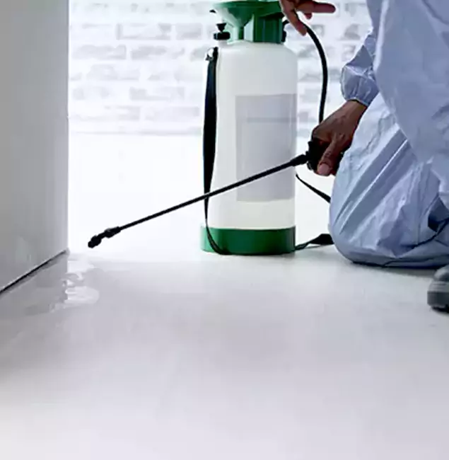 Why Choose Eugene Pest Control Pros for Rat Exterminator in Eugene, OR?