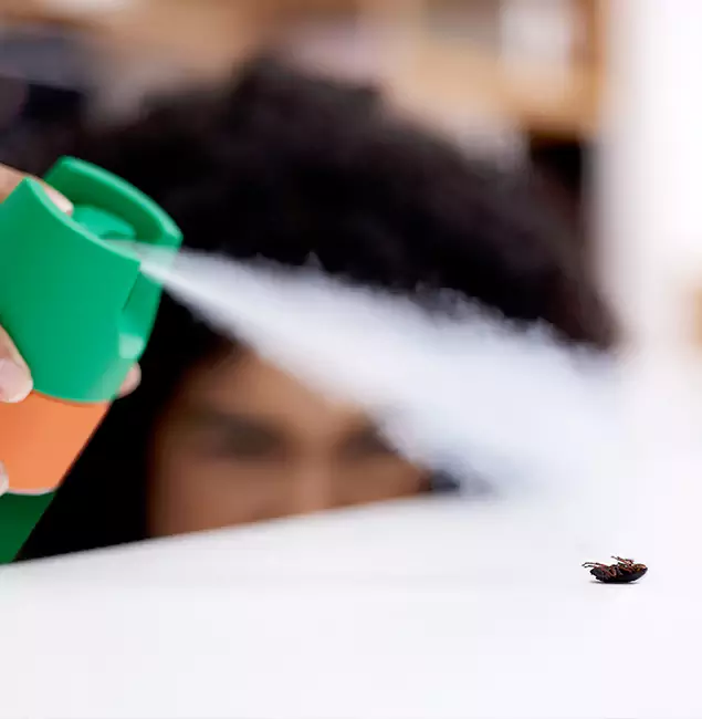 Why Eugene, OR Homeowners Choose Eugene Pest Control Pros for Roach Pest Control?