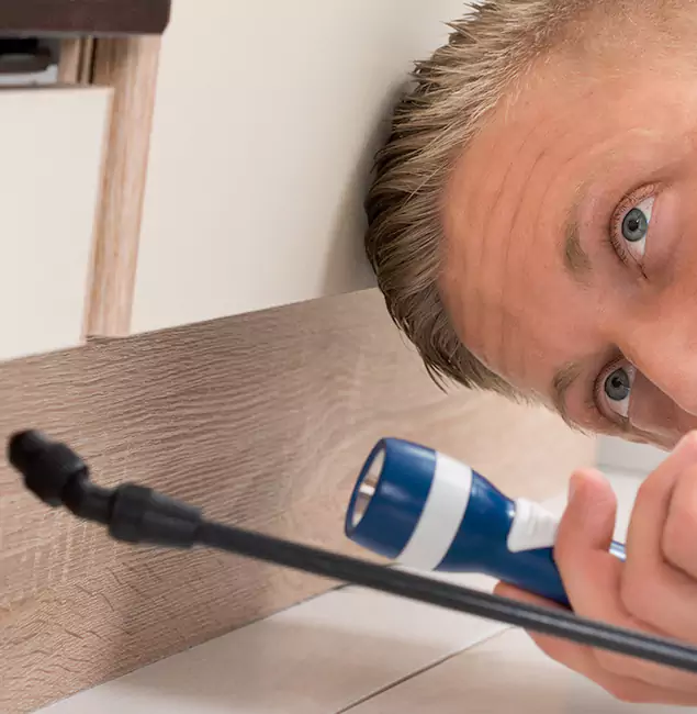 Why Choose Eugene Pest Control Pros for Rodent Exterminator in Eugene, OR?