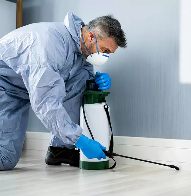 Why Choose Eugene Pest Control Pros for Subterranean Termites Treatment in Eugene, OR?