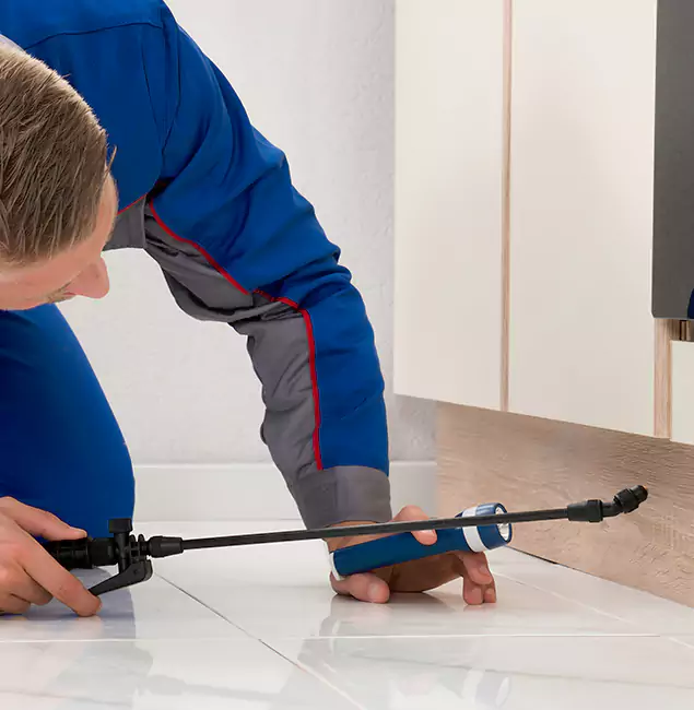 Why Eugene Residents Choose Eugene Pest Control Pros to Get Rid of Sugar Ants?