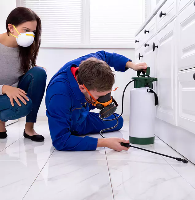 Why Choose Eugene Pest Control Pros for Termite Inspection Cost in Eugene, OR?