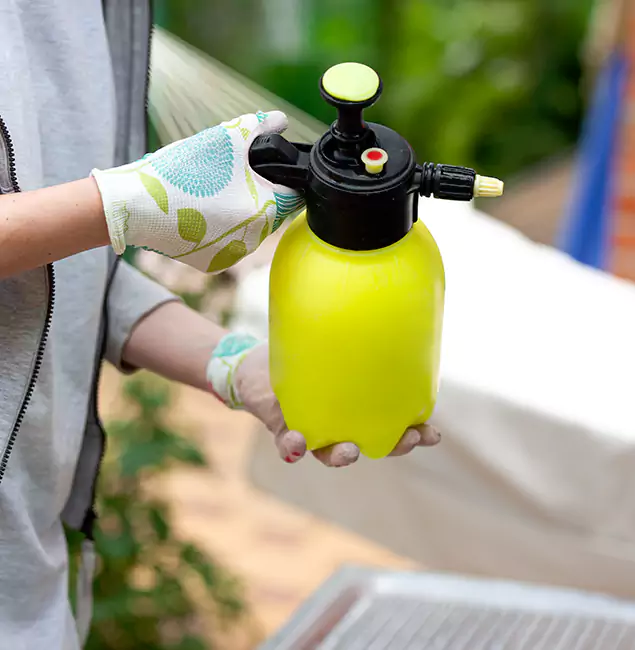 Why Choose Us: Eugene Pest Control Pros Termite Spraying Experts in Eugene, OR?