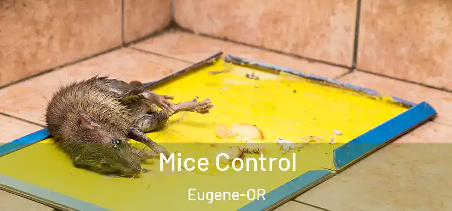 Mice Control Eugene-OR