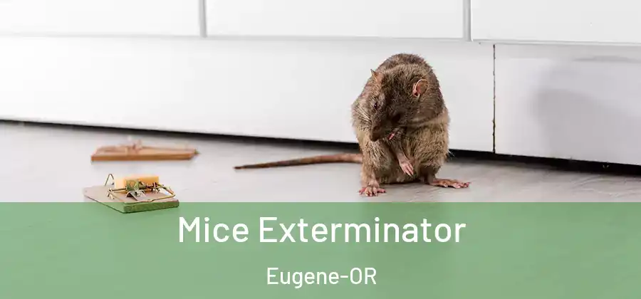Mice Exterminator Eugene-OR